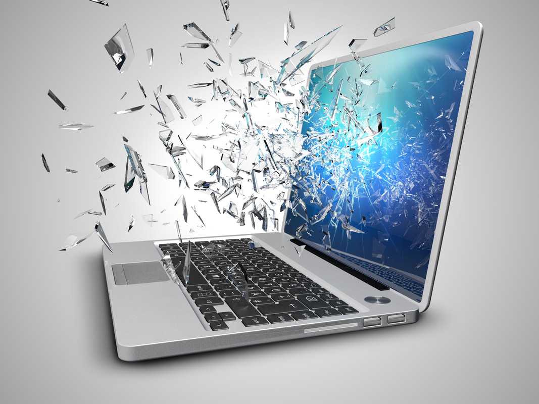 HP Laptop Screen Replacement | Trílex Fix | Macbook Repair | 541.204.0429